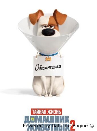 The Secret Life of Pets 2